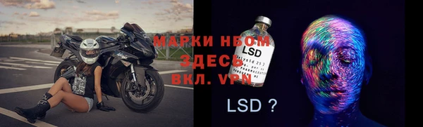 прущие грибы Алзамай