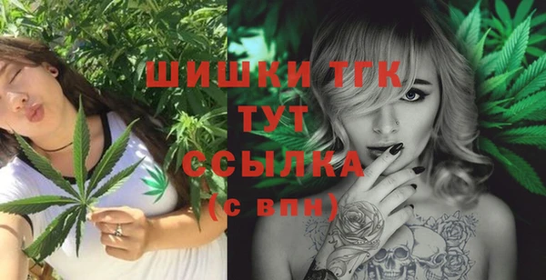 прущие грибы Алзамай