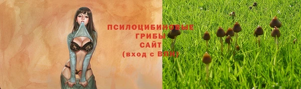 spice Алексин
